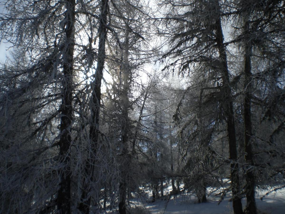 T3 Coquet Et Lumineux Aux Pieds Des Pistes Lägenhet Ancelle Exteriör bild
